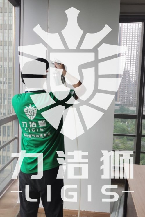 力洁狮售楼部除甲醛施工现场