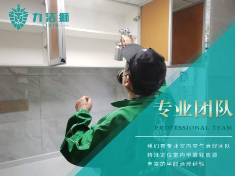 朗基香颂天府二期母婴标家庭除甲醛治理案例