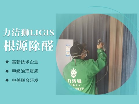 沙沙河壹号2期家庭除甲醛治理案例