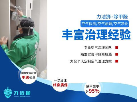 吉宝家庭除甲醛治理案例